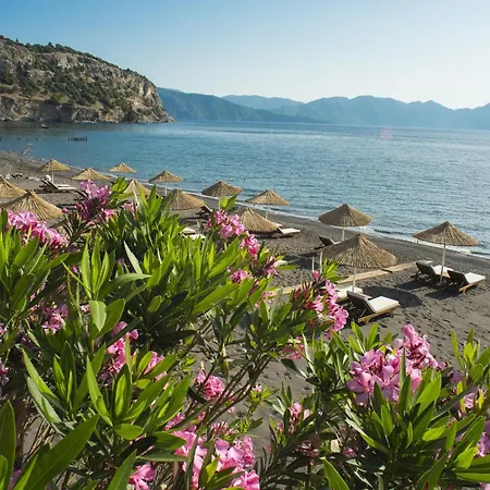 بيت للعطل Amos, Florya تورونشْ